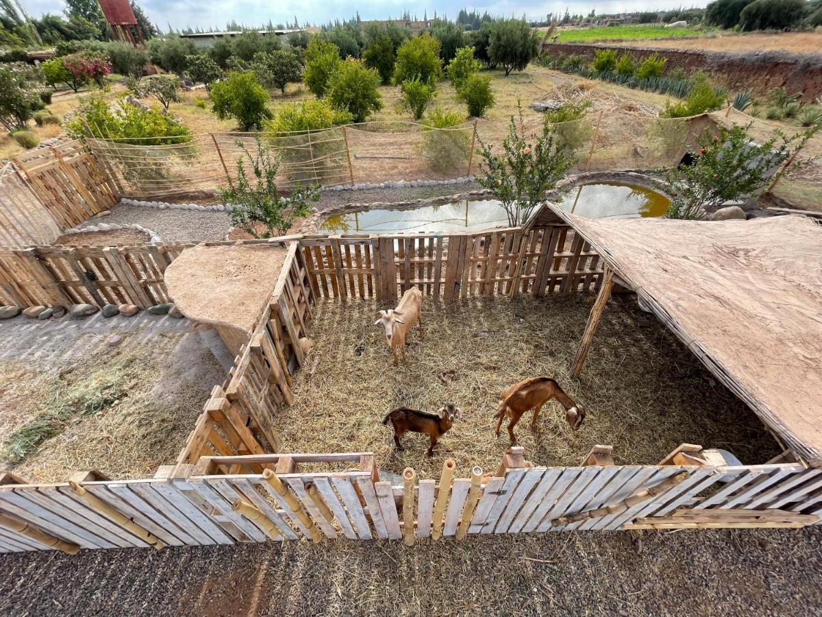 فندق Jnan Lotf Marrakech El Harkat المظهر الخارجي الصورة