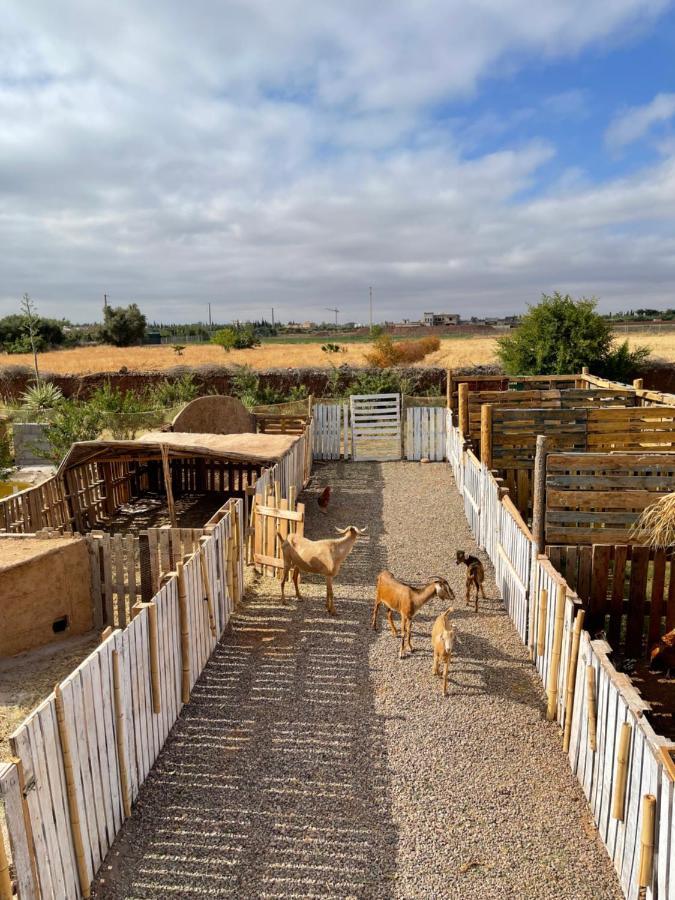 فندق Jnan Lotf Marrakech El Harkat المظهر الخارجي الصورة