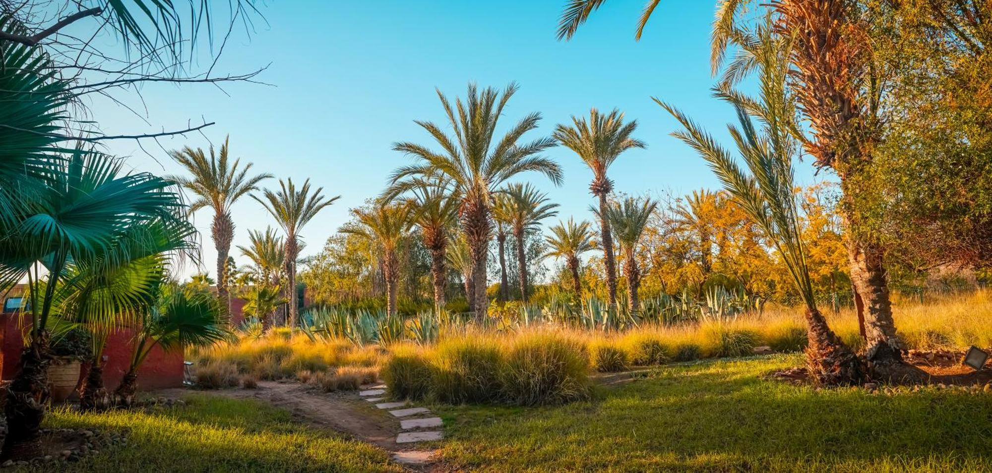 فندق Jnan Lotf Marrakech El Harkat المظهر الخارجي الصورة